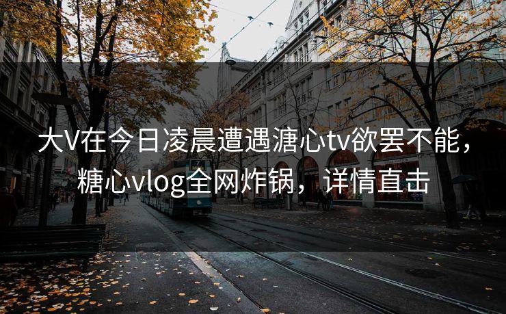 大V在今日凌晨遭遇溏心tv欲罢不能，糖心vlog全网炸锅，详情直击